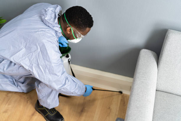 Real Estate Pest Inspections in Trappe, PA